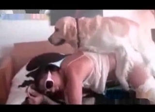 Zoo sex featuring a horny dog