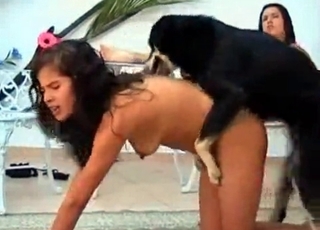 Mongrel fucking two girls