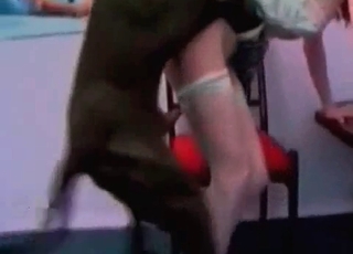 Giant Doberman fucks a petite slut
