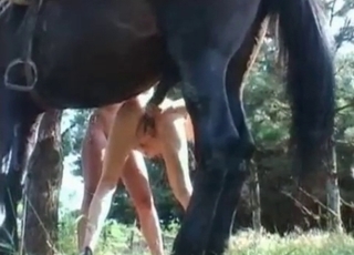 Zoo sex with a black mustang