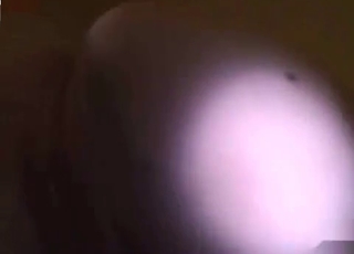 White dog is sucking a pussy