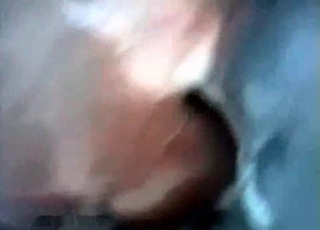 Zoo porn with a big horse